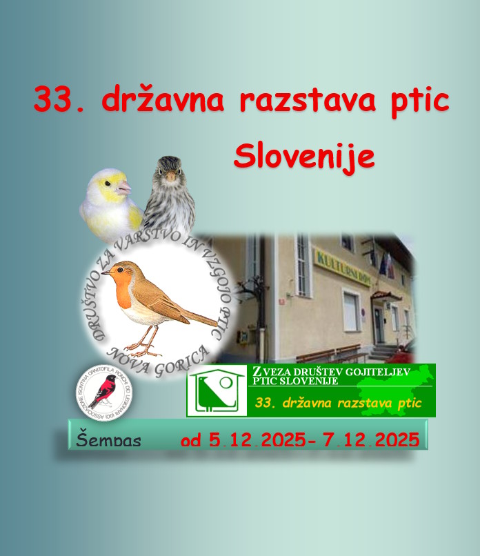 33 drzavno prvenstvo in razstava ptic slovenije 2025